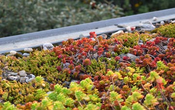 the cost of Stragglethorpe green roof installation
