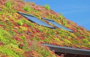 Stragglethorpe living roof systems