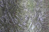 Stragglethorpe fibreglass roof work